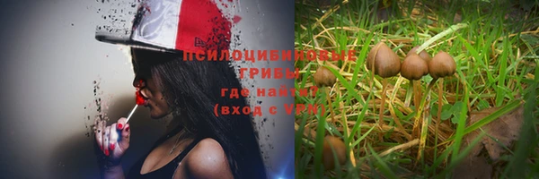 метадон Алексеевка