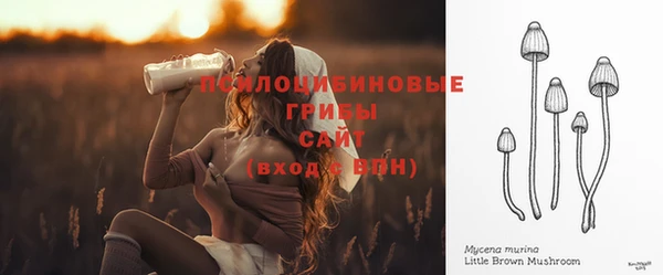 гидра Алзамай