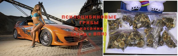первитин Арсеньев