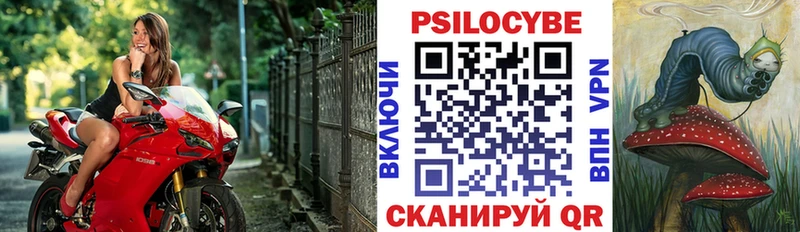 Купить где  Топки  Псилоцибиновые грибы мицелий 